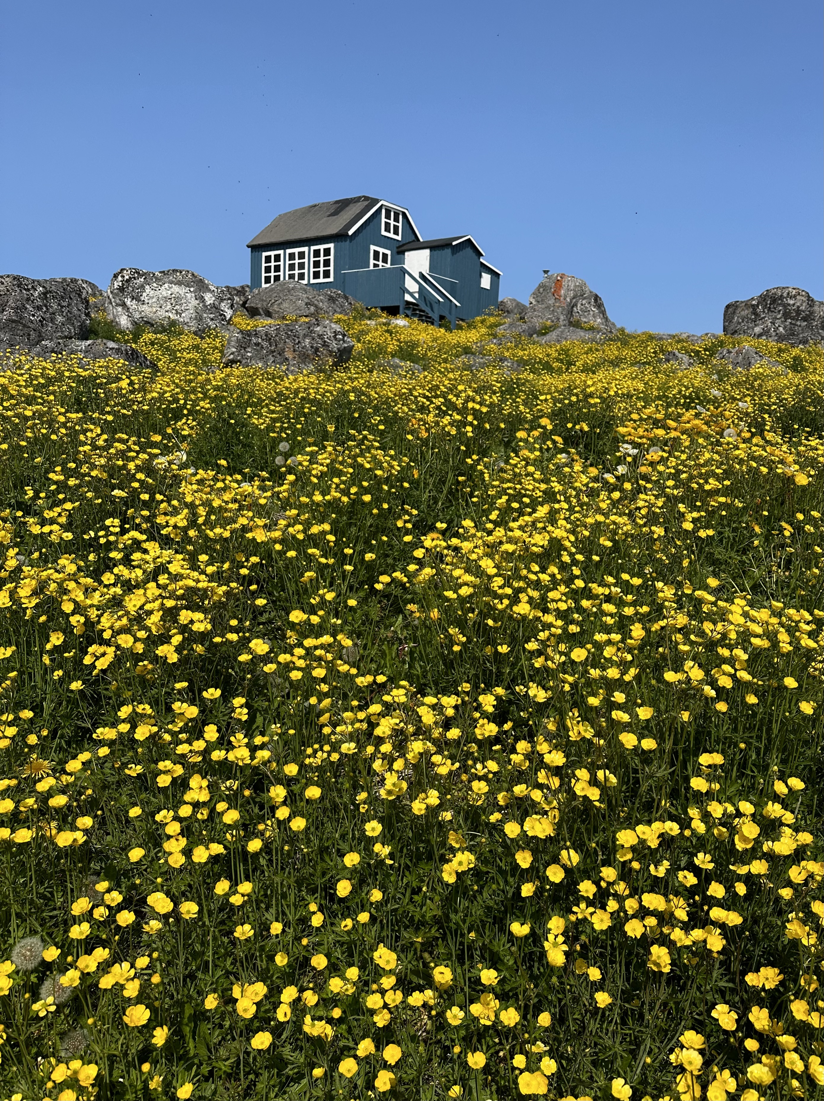 nature and landscape photo